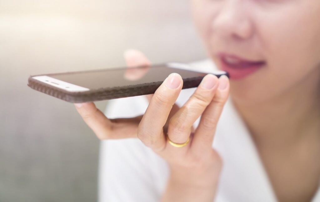 Biometrisches Verfahren - Stimmbiometrie, Voice Recognition