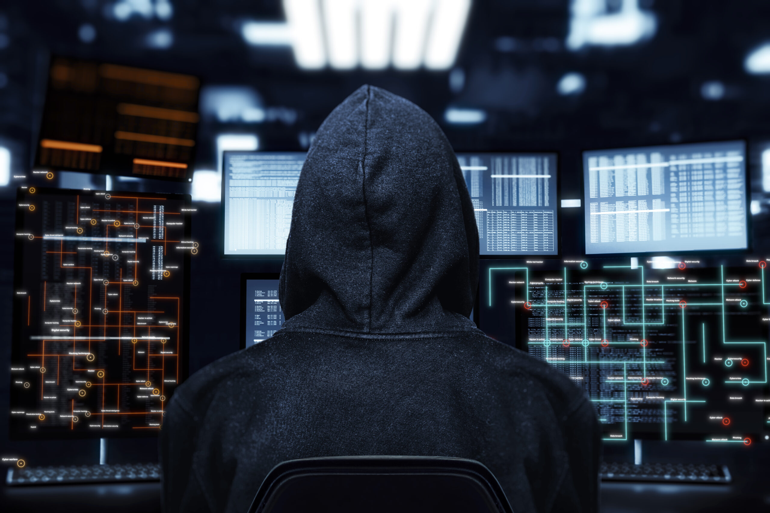 a person in a hoodie looking at a computer screen